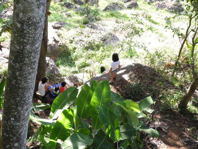 O que estão olhando?