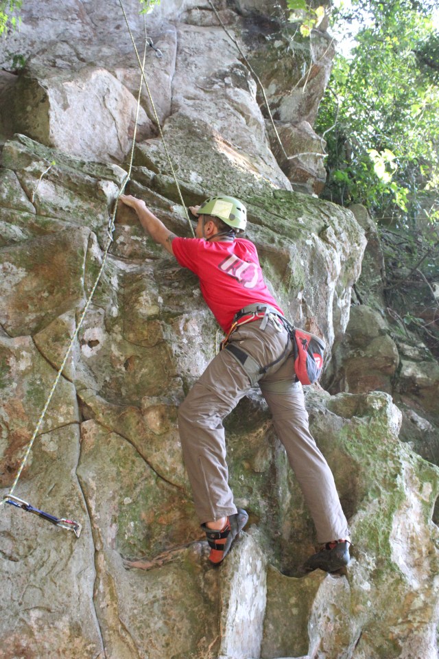 Via Refrigerante de Musgo - V Foto Rafael Rodrigues