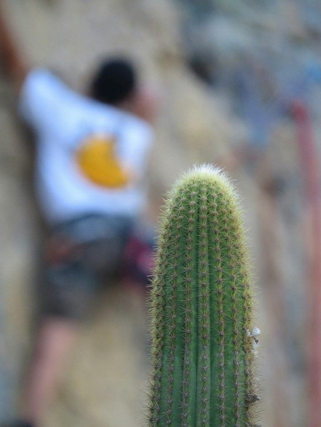 11249_581818578533862_695752005_n