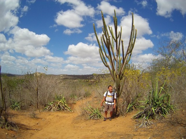 O tamanho desse treco!