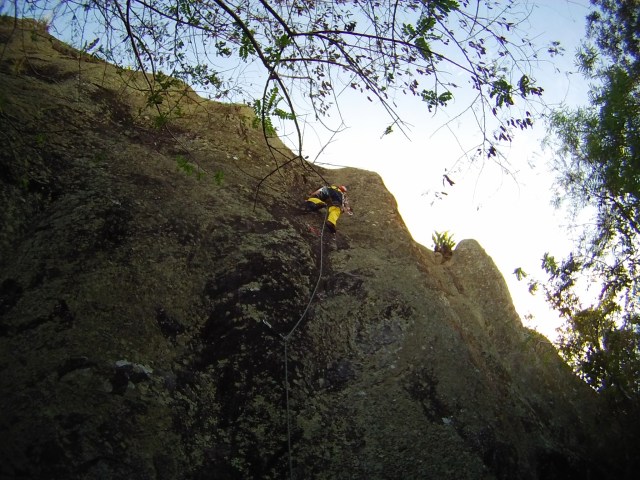 Felis equipando a via!